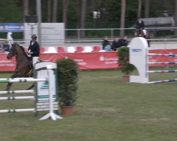 Reitturnier Cottbus-Sielow 2025