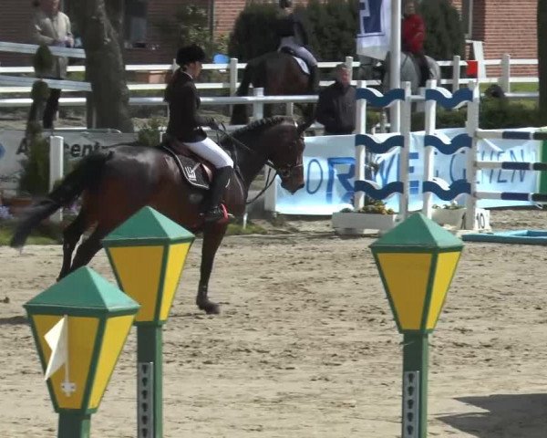 Lenklarer Reitertage 2014