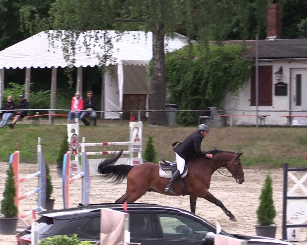 Reitturnier Langenleuba - Oberhain 2025