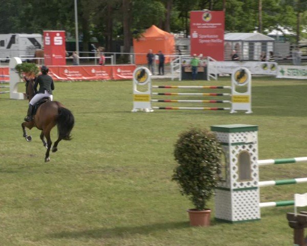 Reitturnier Cottbus-Sielow 2025