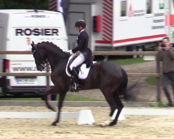 Reitturnier Iserlohn-Kalthof 2025