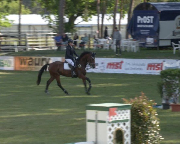 Reitturnier Cottbus-Sielow 2025