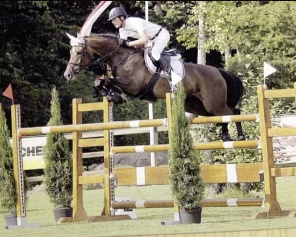 Zuchtstute Valencia XV (Schweizer Warmblut,  , von Lux Z)