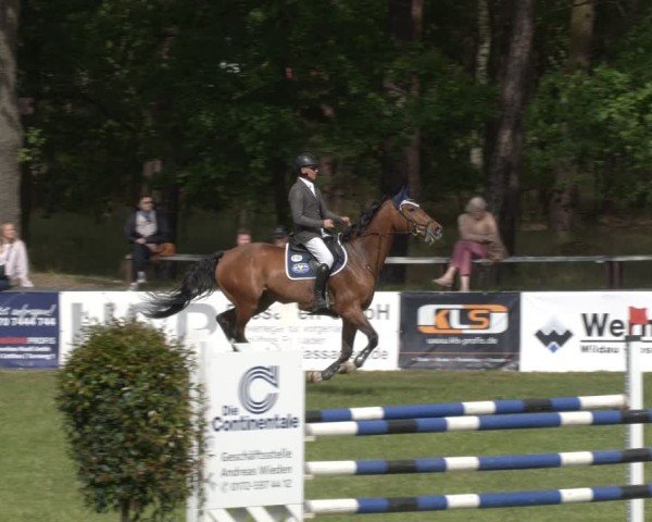 Reitturnier Cottbus-Sielow 2025