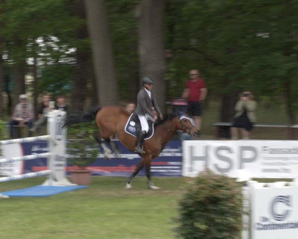 Reitturnier Cottbus-Sielow 2025