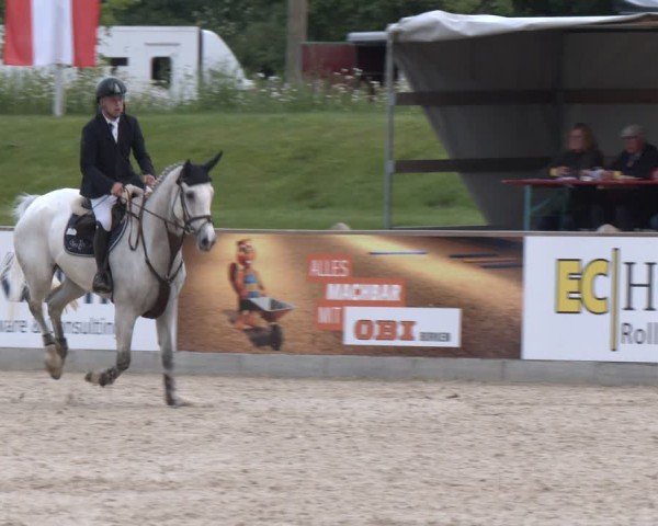 Reitturnier Borken 2025