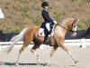 dressage horse Goldfever Hella Bella (Danish Warmblood, 2008)