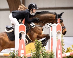 jumper Collins Werlemann (German Riding Pony, 2012, from Chantre B)