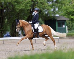 Zuchtstute Vienna (Deutsches Reitpony, 2016, von Valerius)