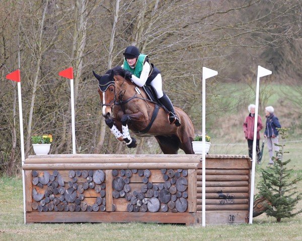 broodmare Liz H (Hanoverian, 2011, from Longton)
