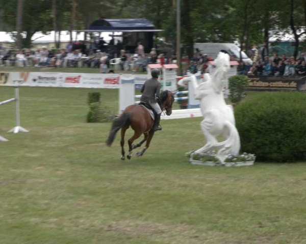 Reitturnier Cottbus-Sielow 2025