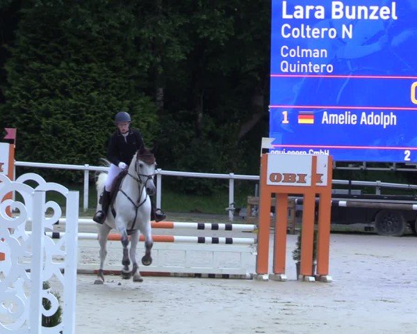 Reitturnier Siegen-Weidenau  2025
