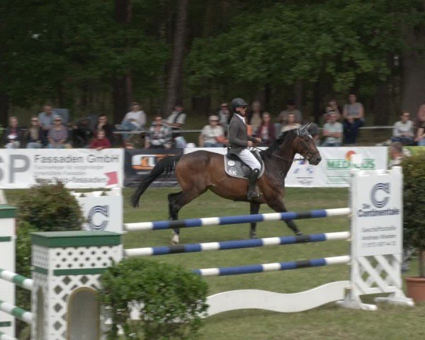 Reitturnier Cottbus-Sielow 2025