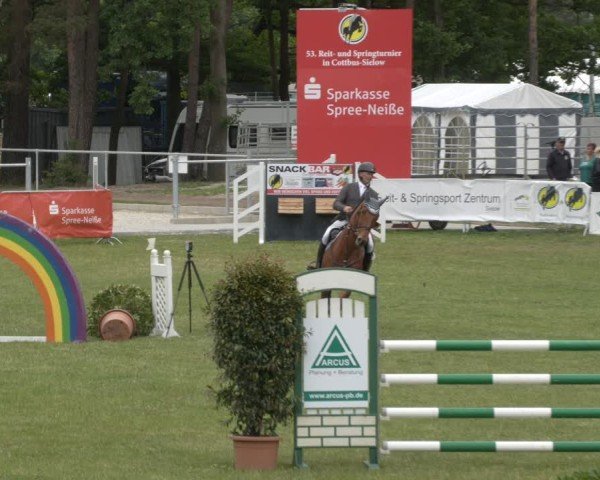Reitturnier Cottbus-Sielow 2025