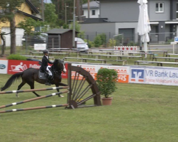 Reitturnier Cottbus-Sielow 2025