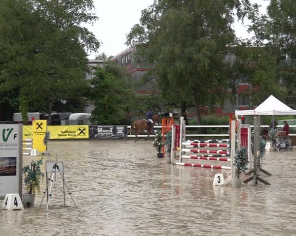 Reitturnier Bregenz 2025