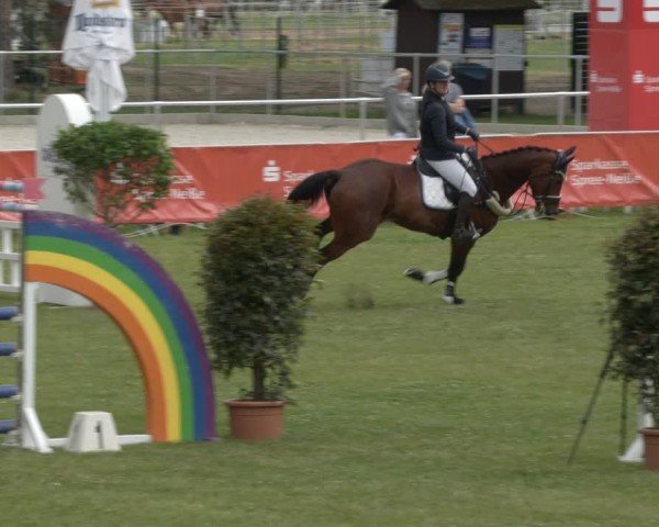 Reitturnier Cottbus-Sielow 2025