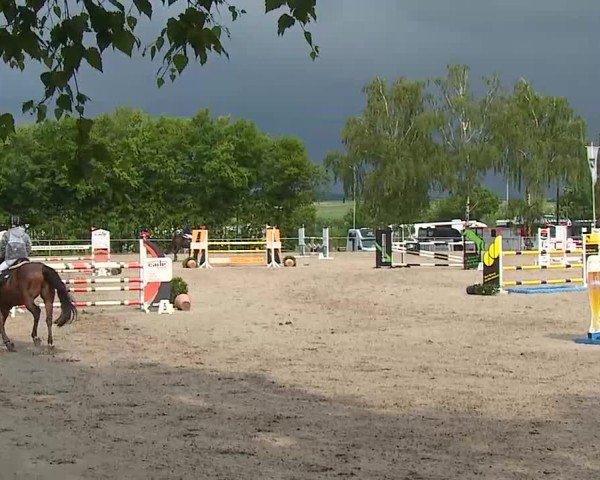 Reitturnier Landenhausen 2025