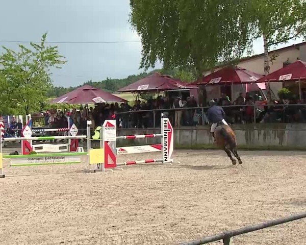 Reitturnier Landenhausen 2025