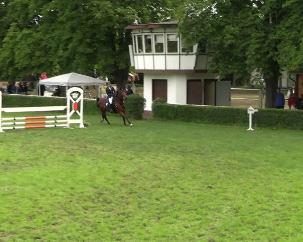 Reitturnier Westeregeln 2025