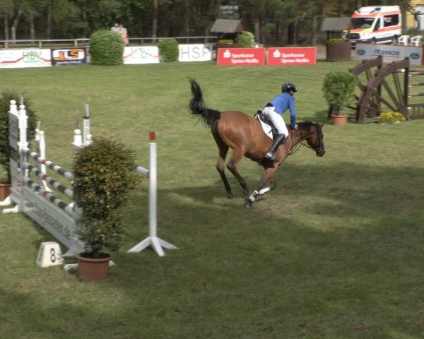 Reitturnier Cottbus-Sielow 2025