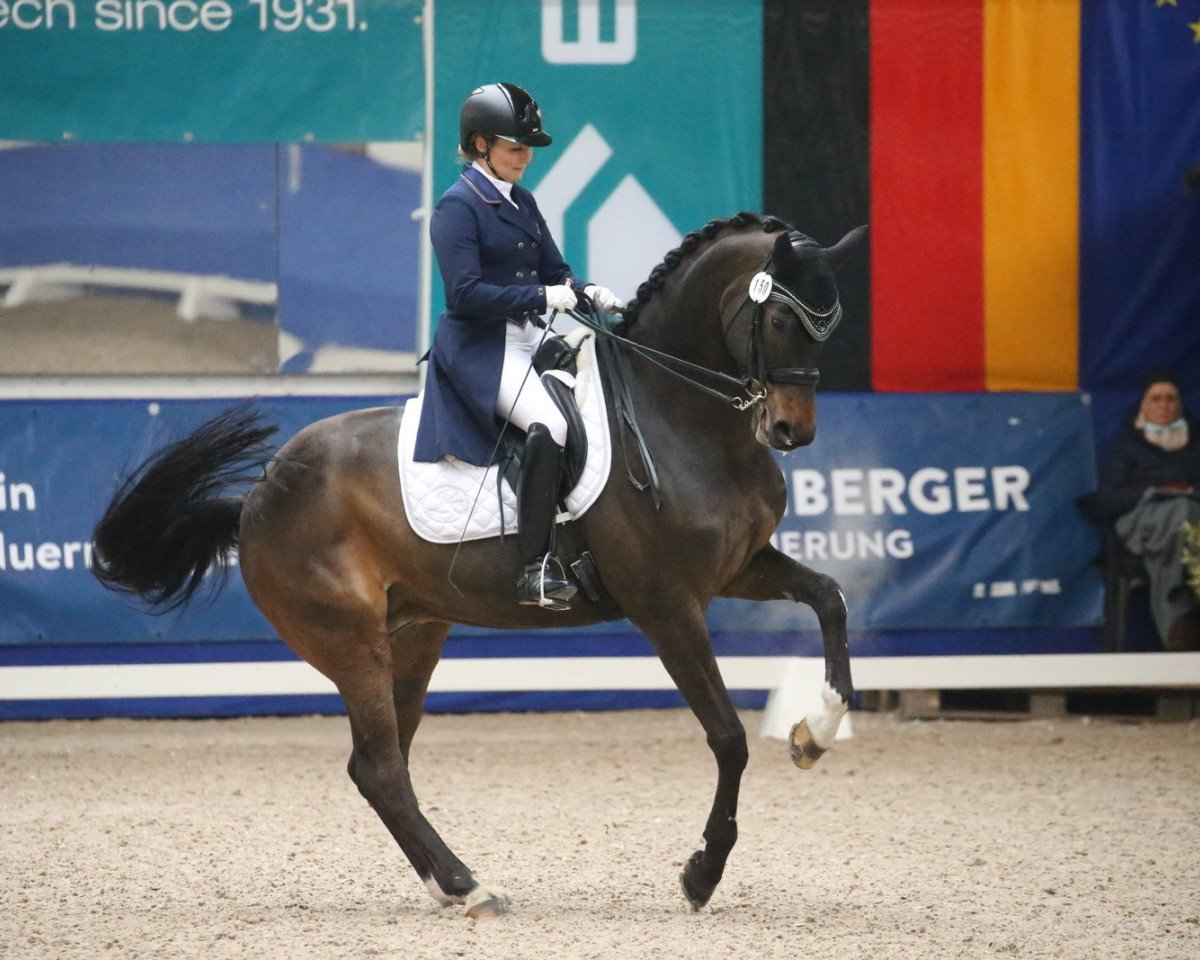 Dressurpferd Fairtrade (Westfale, 2010, von Fiderstep)