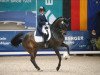 dressage horse Fairtrade (Westphalian, 2010, from Fiderstep)