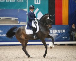 dressage horse Fairtrade (Westphalian, 2010, from Fiderstep)