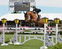 jumper Costa Rica Vh Waterschoot Z (Zangersheide riding horse, 2008, from Cicero Z van Paemel)