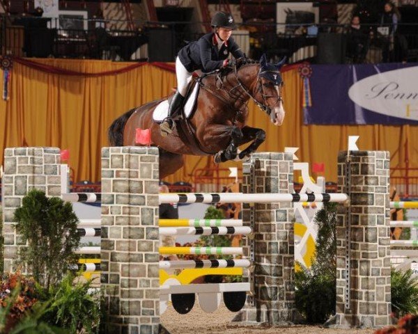 Springpferd For Jef vd Wezelse (Belgisches Warmblut, 2005, von Casall Ask)