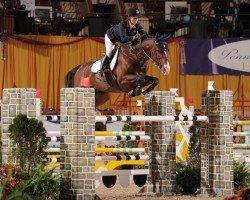 jumper For Jef vd Wezelse (Belgian Warmblood, 2005, from Casall Ask)