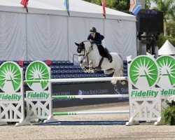 jumper Cordelia GP Z (Zangersheide riding horse, 2012, from Cero)