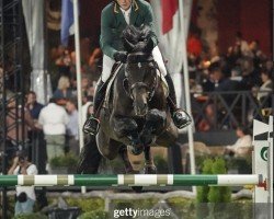 jumper Cantano 32 (Westphalian, 2014, from Cachassini)