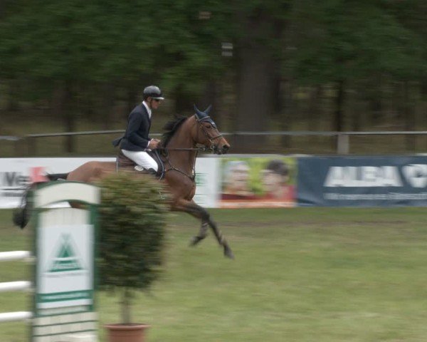 Reitturnier Cottbus-Sielow 2025