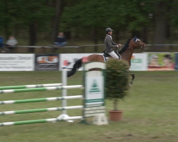 Reitturnier Cottbus-Sielow 2025