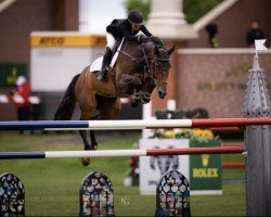 Springpferd Theo Duc T&L Z (Zangersheide Reitpferd, 2011, von Toulon)