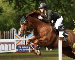 jumper Santana 1046 (Hanoverian, 2017, from Stolzenberg)