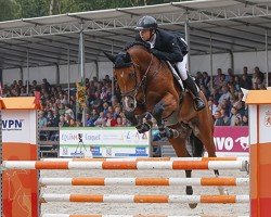 stallion Broere Extase (KWPN (Royal Dutch Sporthorse), 2009, from Casall Ask)