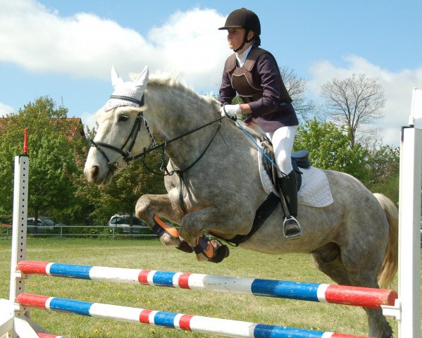 dressage horse Moncoeur 6 (Little German Riding Horse, 2005)