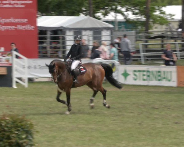 Reitturnier Cottbus-Sielow 2025