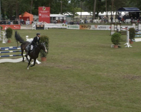 Reitturnier Cottbus-Sielow 2025