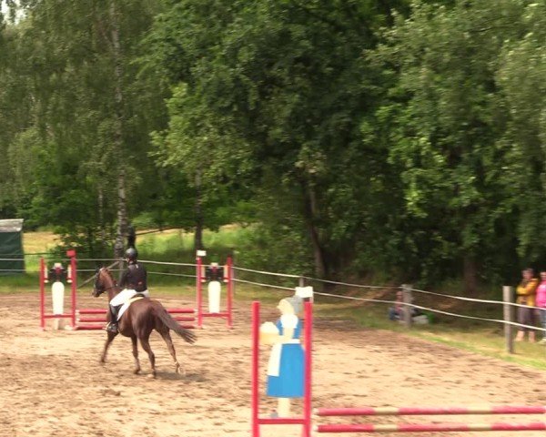 Reitturnier Langenleuba - Oberhain 2025