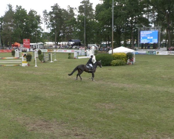 Reitturnier Cottbus-Sielow 2025