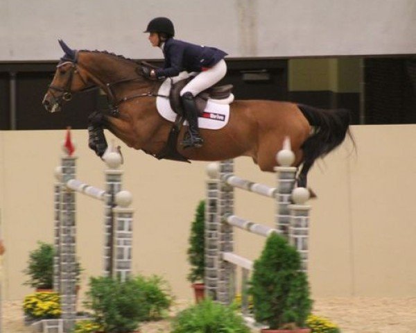 jumper Urban (KWPN (Royal Dutch Sporthorse), 2001, from Goodtimes)
