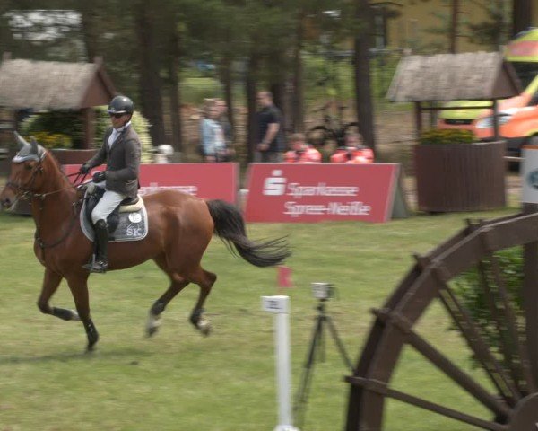 Reitturnier Cottbus-Sielow 2025