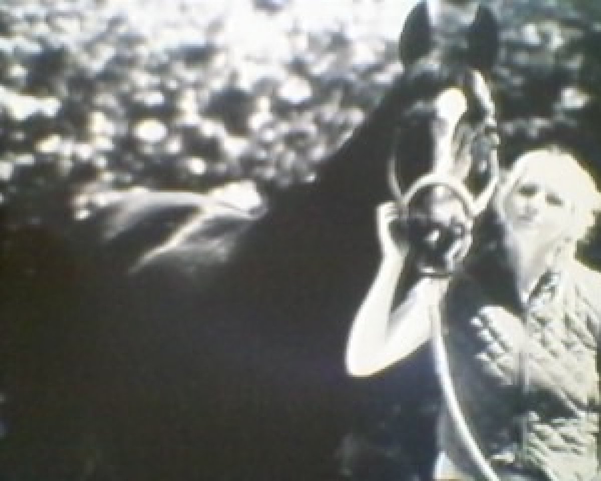 dressage horse Korsar 85 (Trakehner, 1997, from Saint Cloud)