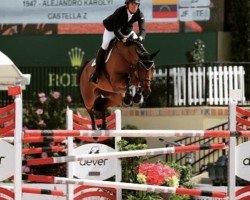 Springpferd Castella Z (Zangersheide Reitpferd, 2008, von Casper Z)
