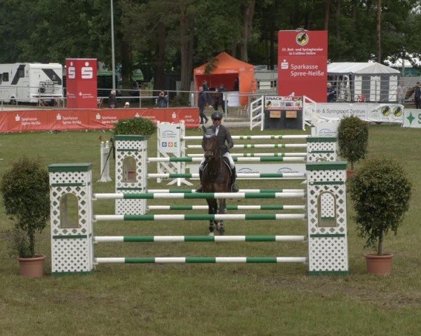 Reitturnier Cottbus-Sielow 2025