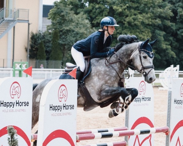 jumper Chacoon's Chacco (German Sport Horse, 2019, from Chacoon Blue)