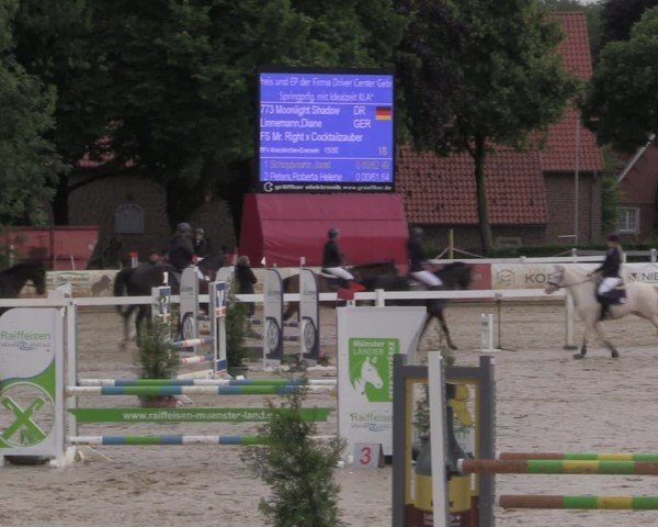 Reitturnier Everswinkel 2025
